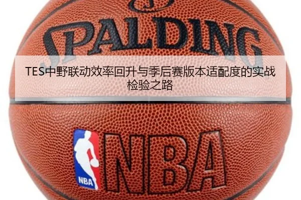 TES中野联动效率回升与季后赛版本适配度的实战检验之路